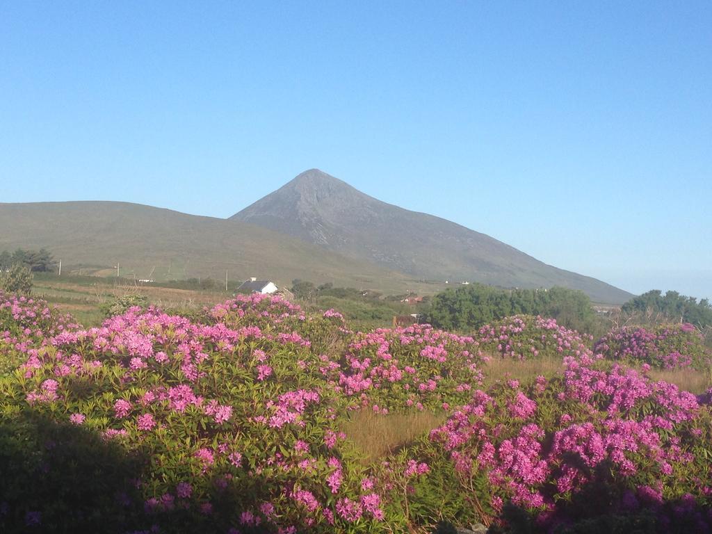 Achill Water'S Edge Bed & Breakfast Doogort Exterior photo